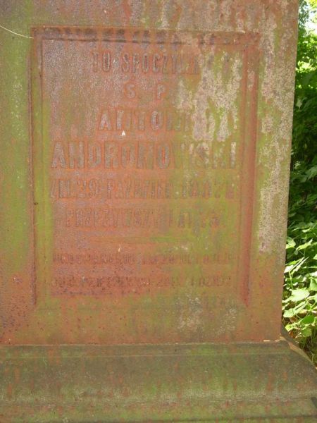  Kobryń, miasto   (   ). Andronowski Antoni - napis na nagrobku, cmentarz w Kobryniu