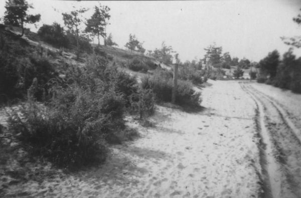  Задарново, колония (Новосёлки сельская гмина). Zadarnowo, kolonia 1935<br>fot. Józef Zadarnowski 1914-2000