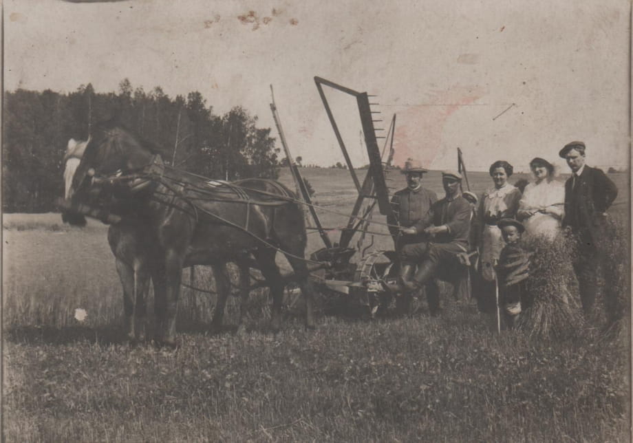  Dubniki, wieś   (Svirski sielsowiet  ). Prace rolne w majątku Dubniki w 1913 roku. 
