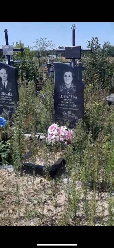  Поддобрянка, посёлок (Марковичский сельсовет). 