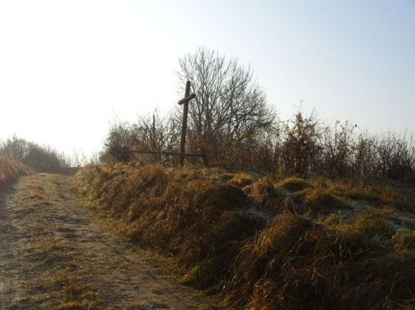  Daszki, outskirts (Cyryn rural commune). 