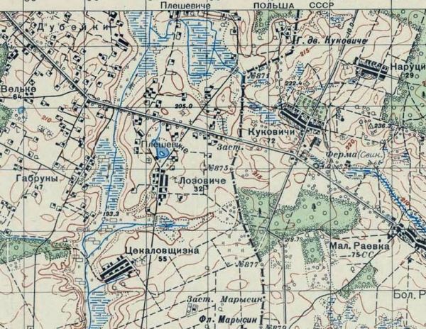  Лозовичи, деревня (Ланский сельсовет). 