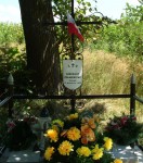 З альбому здымкаў з сучаснымі відамі