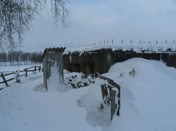  Великая Раёвка, деревня (Тимковичский сельсовет). linia Stalina