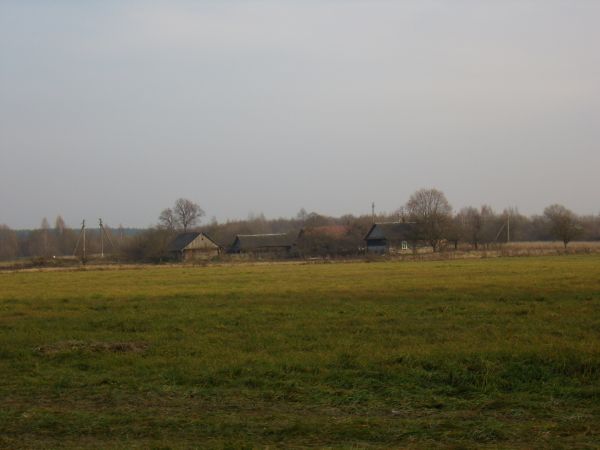  Bryndzieniata, village (Dubrovenskiy rural council). 