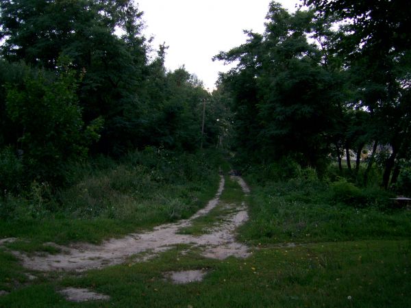 Wysokie, wieś   (Haradziecki sielsowiet  ). Панскія прысады
