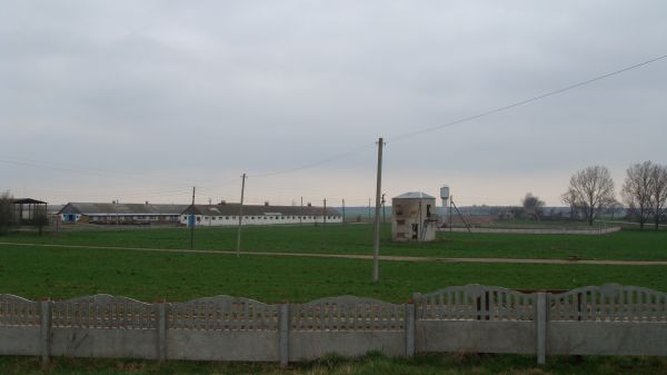  Chwojewo, wieś   (Snoŭski sielsowiet  ). Хвоева