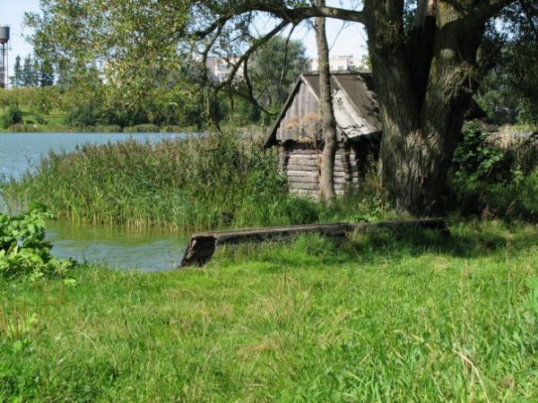  Забелье, деревня (Уделовский сельсовет). лазьня на беразе Белага возера