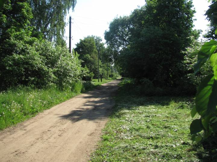  Lisichnik, village (Hrudzinaŭski rural council). Центр деревни. В эту сторону  дорога соединяет с д. Александров и Сутоки Чауского района.