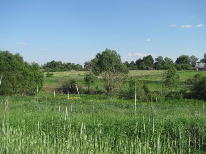  Lisichnik, village (Hrudzinaŭski rural council). 