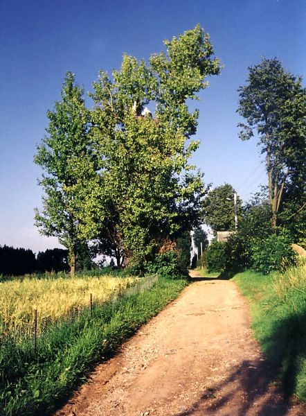  Batukolovo, village (Babroŭski rural council). Вулiца