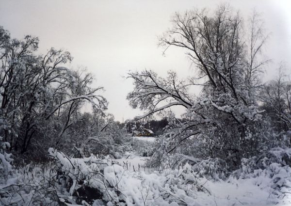 Batukolovo, village (Babroŭski rural council). Кадауба зiмой