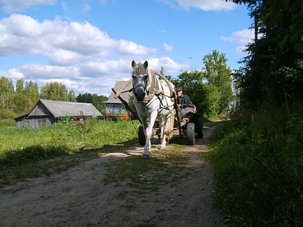  Batukolovo, village (Babroŭski rural council). Домнавiч