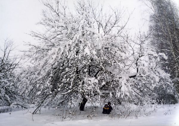  Batukolovo, village (Babroŭski rural council). Зiмовы сад