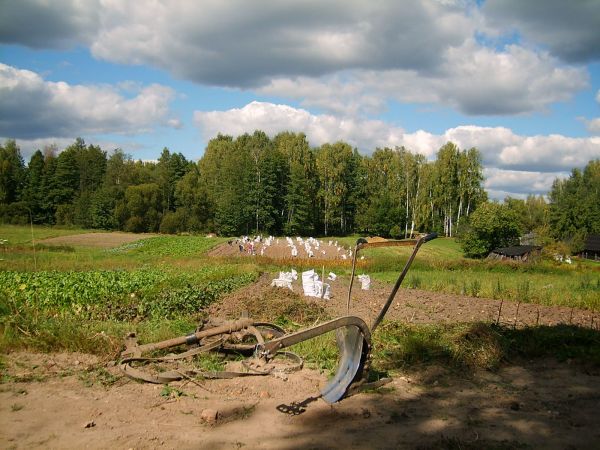  Batukolovo, village (Babroŭski rural council). У агароде