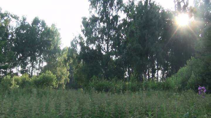  Barsuki, wieś   (Gorkowska wołość  ). 