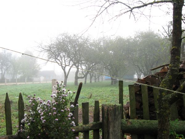  Niewisza Mała, village (Vasilishkovskiy rural council). 
