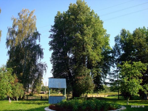  Бездедовичи 2, деревня (Островщинский сельсовет). 