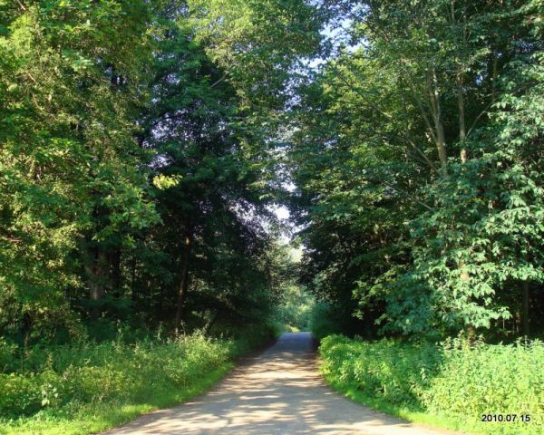  Бяздзедавічы 2, вёска (Астроўшчынскі сельсавет). 