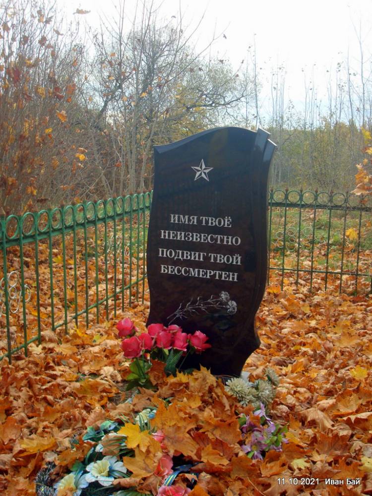  Bobynichi, village (Babynicki rural council). Могила Неизвестного солдата