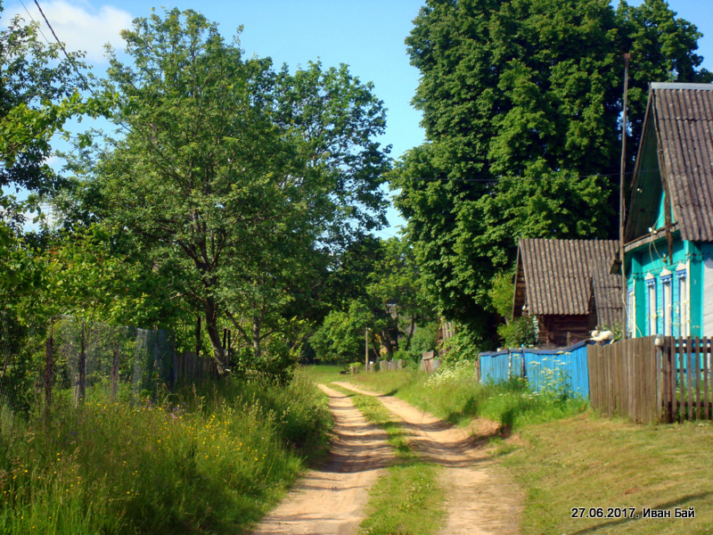  Жарцы, деревня (Зелёнковский сельсовет). 