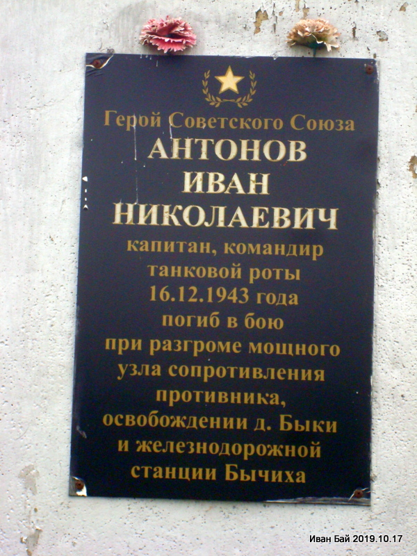  Быки, деревня (Бычихинский сельсовет). 