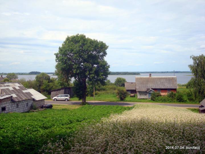  Чарсцвяды, вёска (Сарочынскі сельсавет). 