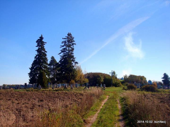  Малыя Давыдкі, вёска (Падсвільскі пасялковы савет). 