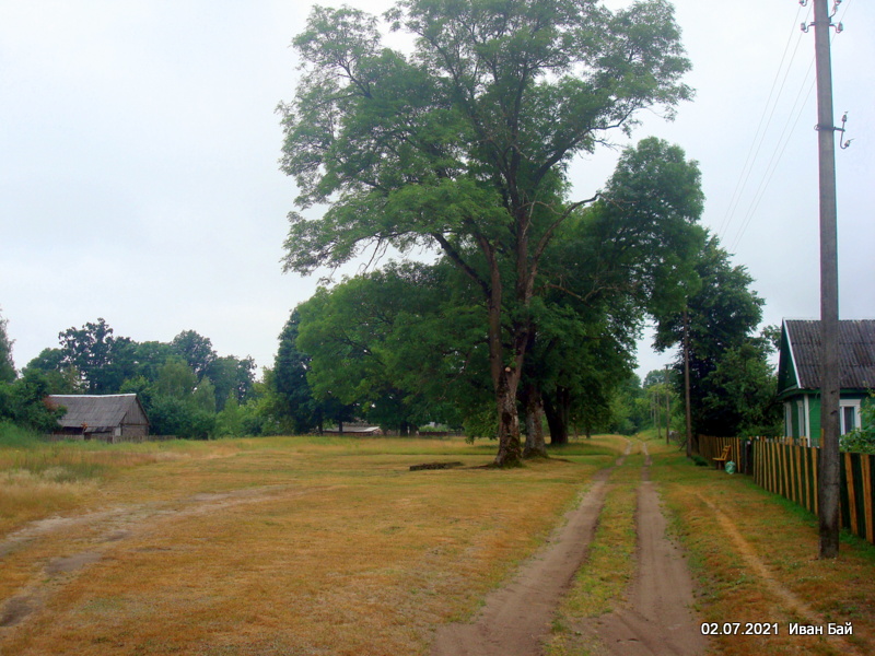  Dobrosławka, village (Babrykoŭski rural council). Деревенская улица