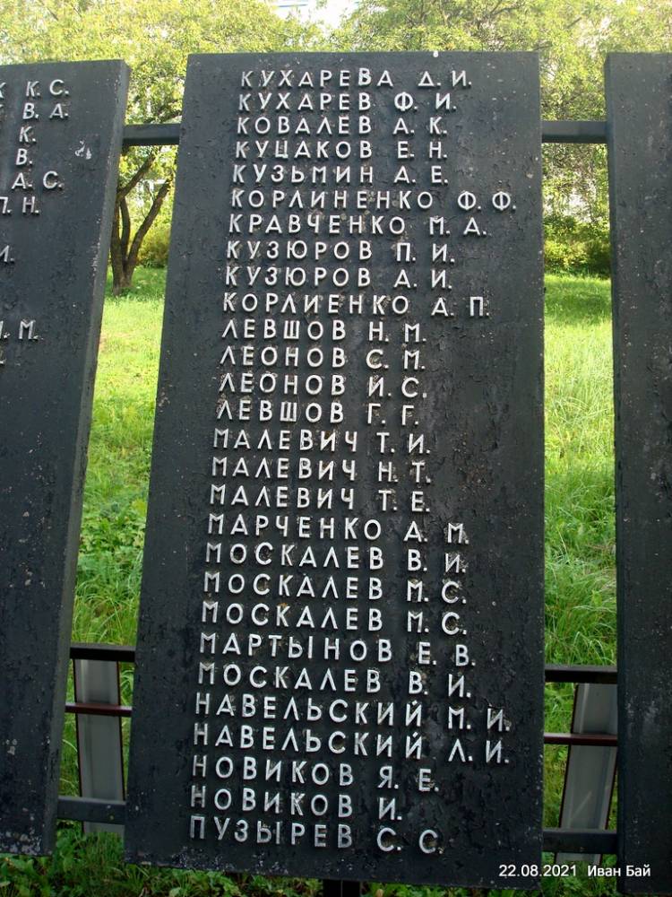  Dolgopolye, agrotown (Daŭhapolski rural council). Имена погибших земляков