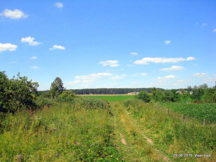  Domatkanowicze, agromiasteczko   (Ščepicki sielsowiet  ). Поле