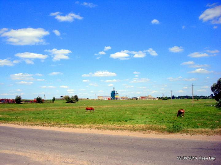  Domatkanowicze, agromiasteczko   (Ščepicki sielsowiet  ). Хоздвор