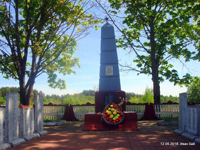  Домники, деревня (Горянский сельсовет). 