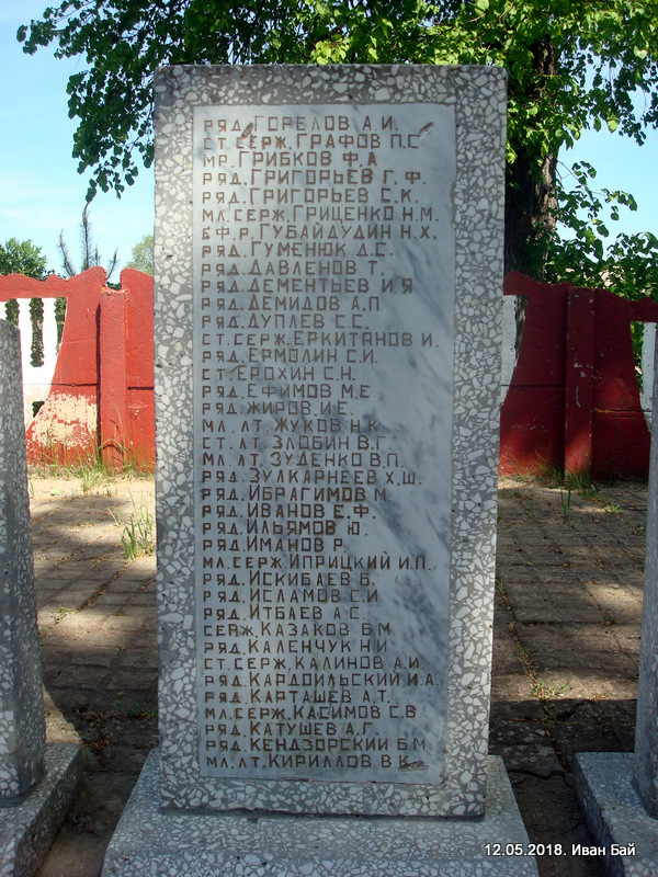  Домники, деревня (Горянский сельсовет). 