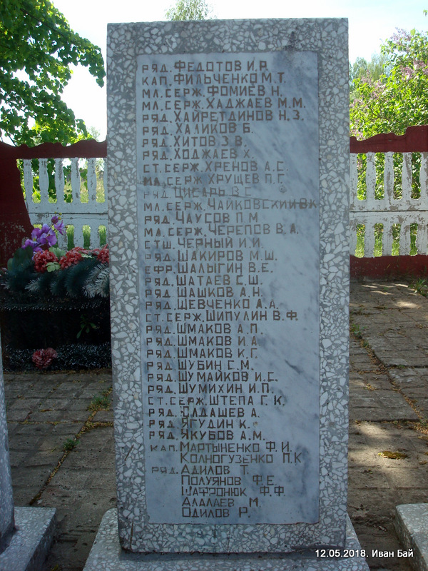  Домники, деревня (Горянский сельсовет). 