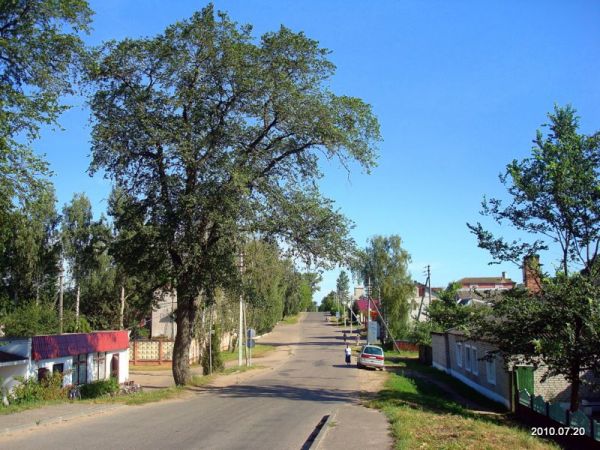  Дзісна, горад ( ). 