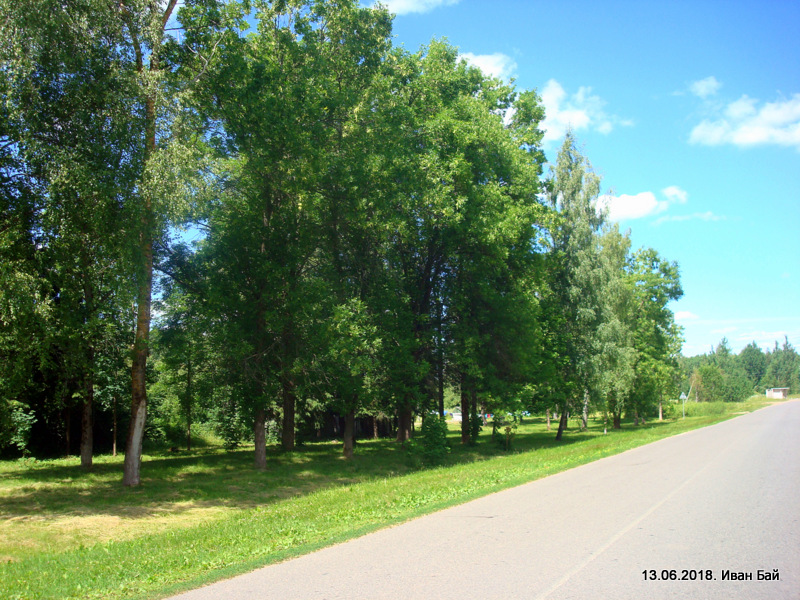  Магеры, вёска (Боркавіцкі сельсавет). В деревне