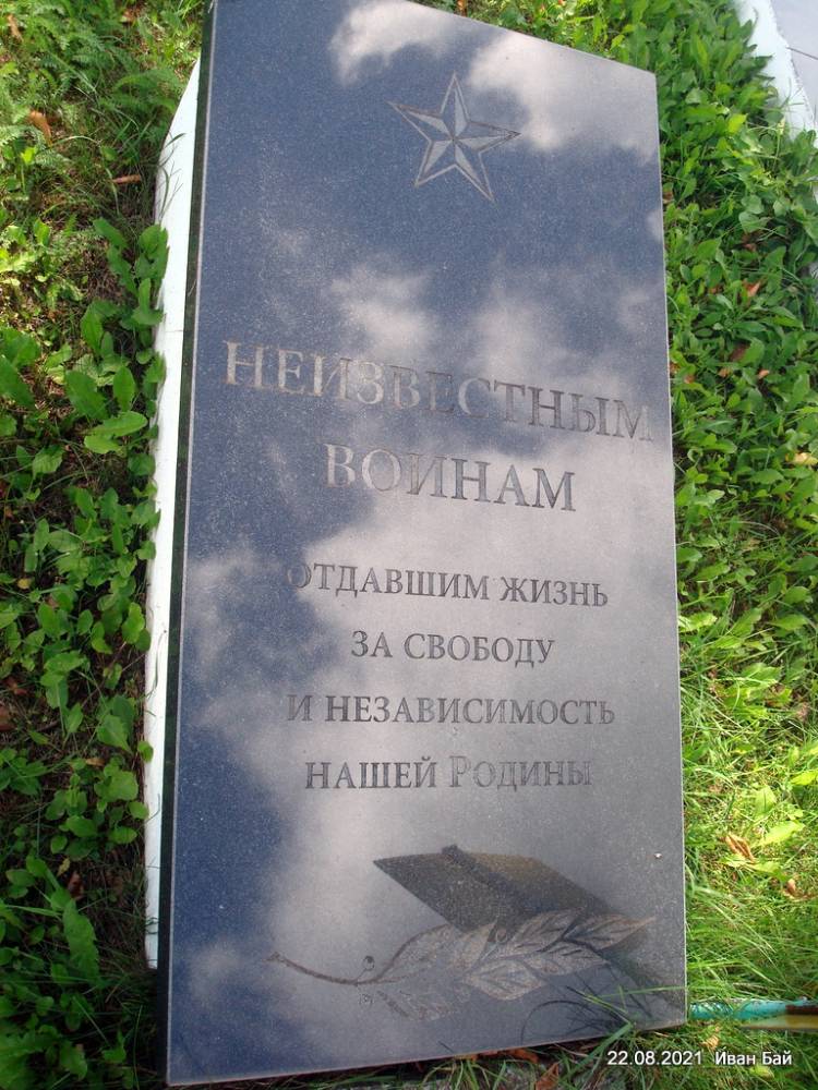  Мішневічы, вёска (Мішневіцкі сельсавет). Неизвестным воинам
