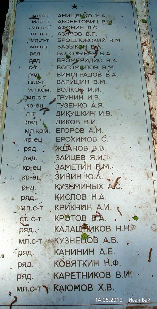 Novye Voykhani, village (Vajchanski rural council). 