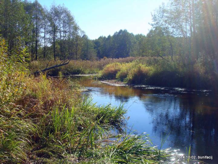  Przewóz, village (Padsvilski settlement council). 