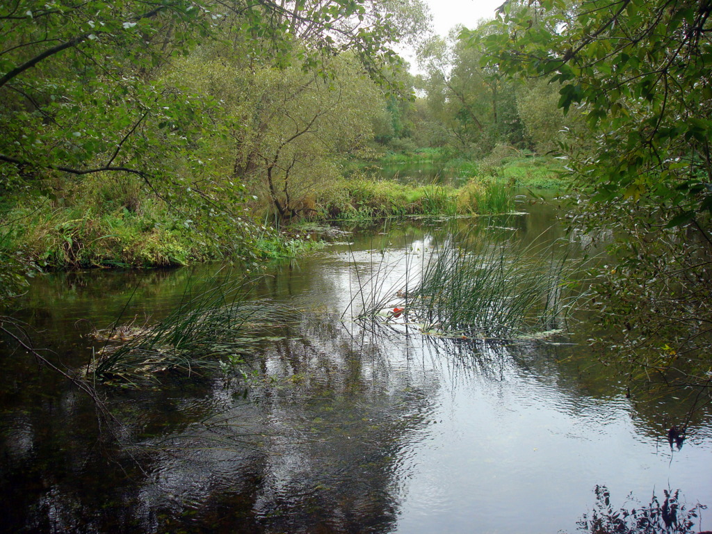  Rudnya, agrotown (Farynaŭski rural council). река Ушача в Рудне
