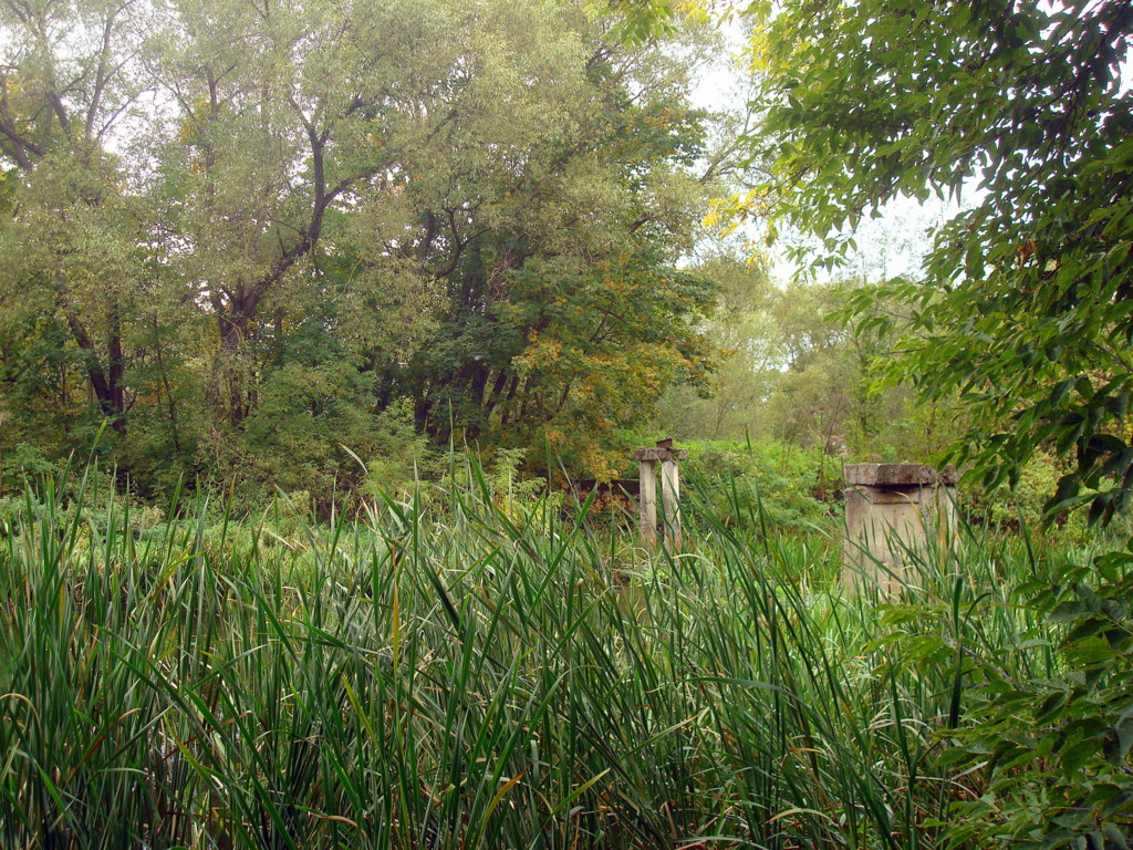  Rudnya, agrotown (Farynaŭski rural council). Остатки старого моста