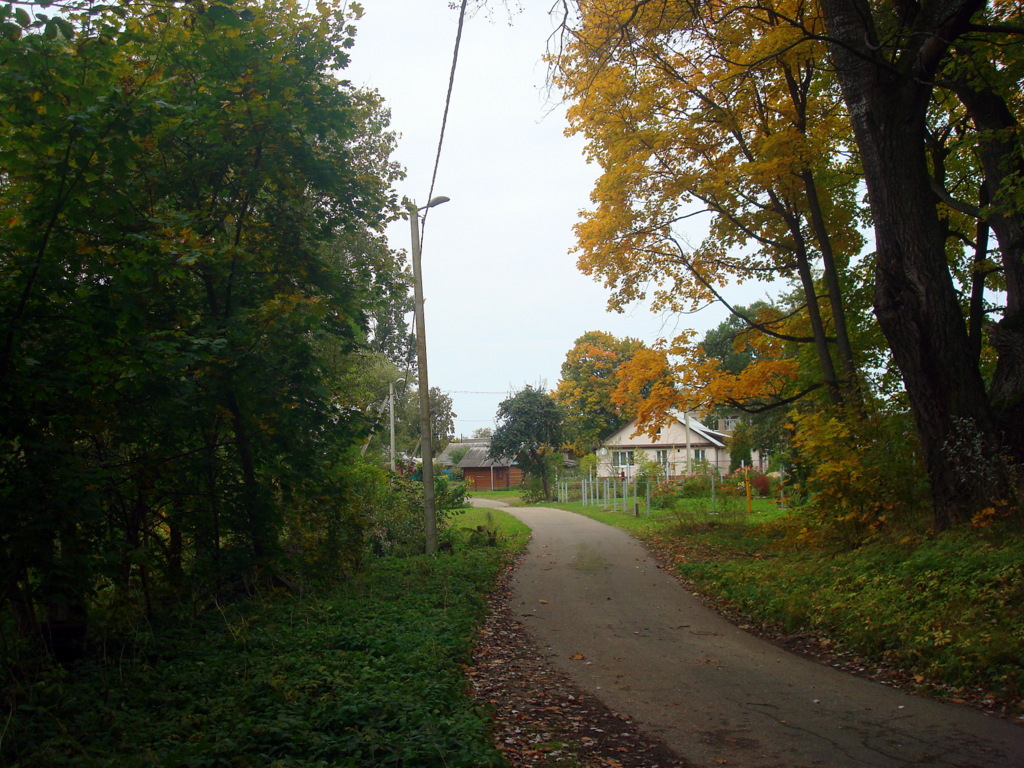  Rudnya, agrotown (Farynaŭski rural council). Улочка в деревне