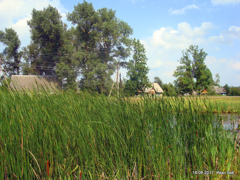  Słoboda Żośniańska, agromiasteczko   (Słabodski sielsowiet  ). 