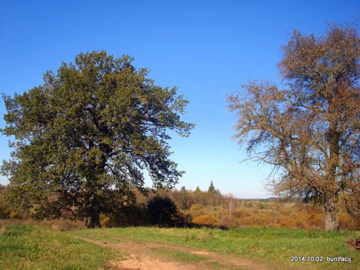  Stefanowo, village (Padsvilski settlement council). 