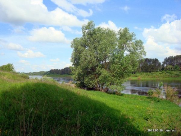  Ткачёво, деревня (Заозерский сельсовет). Вид на Двину
