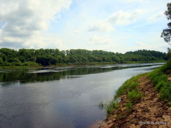  Ткачёво, деревня (Заозерский сельсовет). Река Западная Двина рядом с деревней