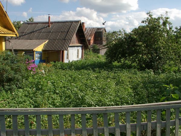  Лужки, деревня (Лужковский сельсовет). 
