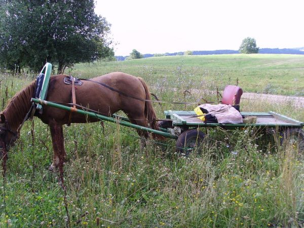  Mniuta I, agromiasteczko   (Plissa sielsowiet  ). 