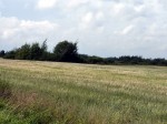 Z albumu ze współczesnymi zdjęciami